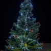 Vánoční strom 2021